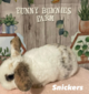 Funny Bunnies Mini Plush Lops ((unsexed))